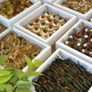 תפריט פינגר פוד- 20-30 סועדים